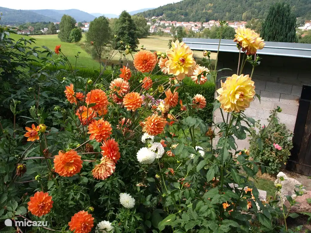 Vue du village du Thillot