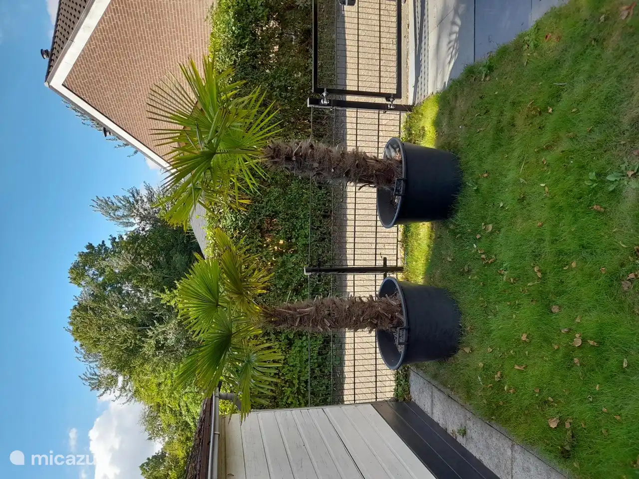 Vista del jardín cerrado