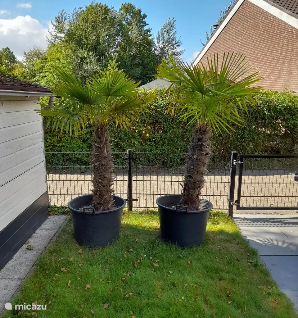 Recreatiewoning in Zeeland/Rood