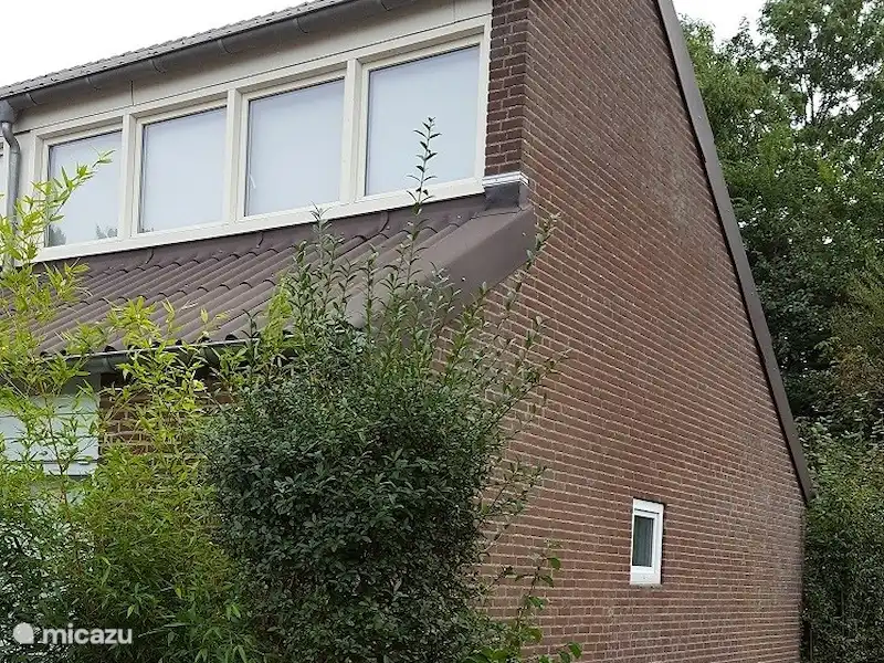 Maison de vacances en Zélande/Rouge | Pays-Bas, Zélande, Bruinisse - Bungalow Maison de vacances en Zélande/Rouge | Pays-Bas, Zélande, Bruinisse - Bungalow