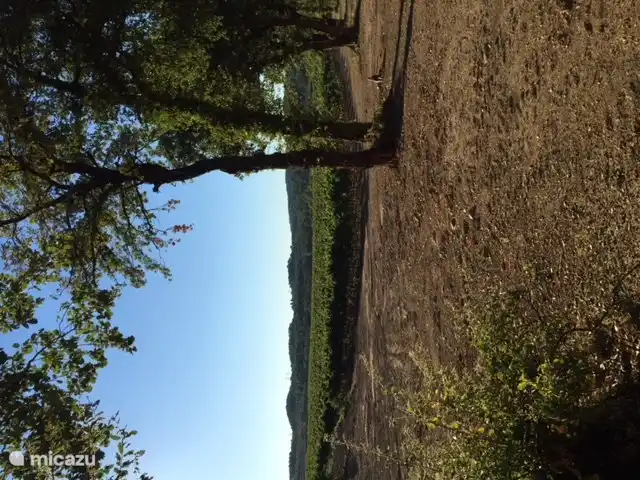 Les voisins : Château Roubine