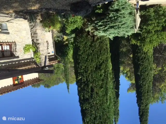Côté terrasse avec nos beaux cyprès