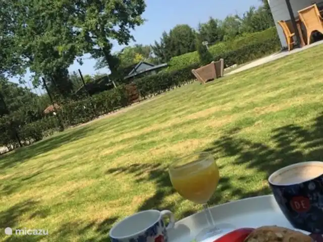Luxe Vakantiebungalow Twentecottage huren in Nederland, Overijssel, Denekamp - bungalow Tuin