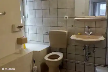 Vakantiehuis Duitsland, Sauerland, Sundern vakantiehuis Ferienhaus Sundern Badkamer