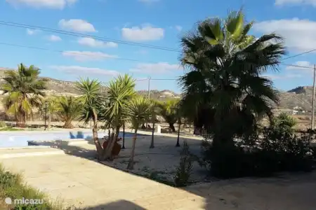Vakantiehuis Spanje, Costa Blanca, Aspe villa Vakantiehuis Aspe Alicante achtertuin