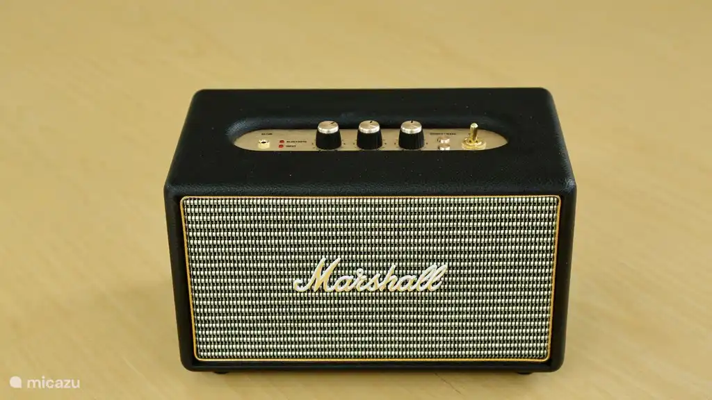 Bringen Sie Ihre eigene Musik mit und hören Sie den Marshall-Verstärker über Bluetooth.