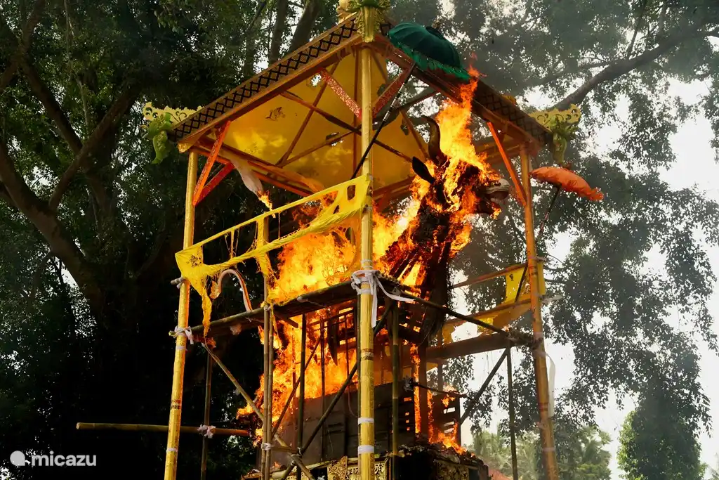 Als letzte der Zeremonie wird der Bulle mit den Überresten des Verstorbenen verbrannt.