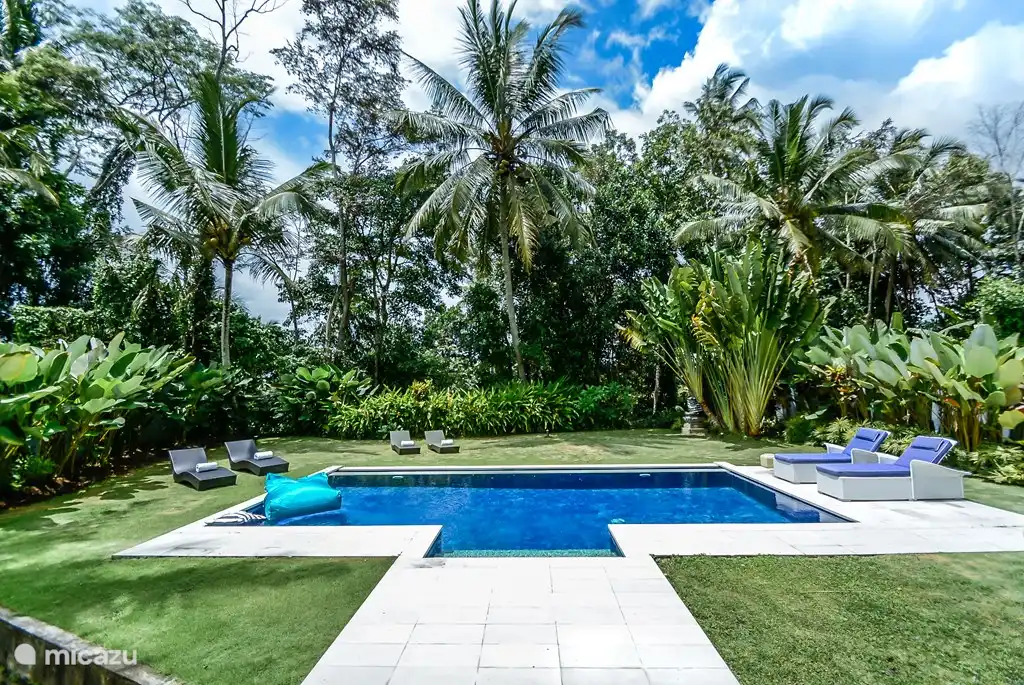 Privates Schwimmbad (12mx4m)