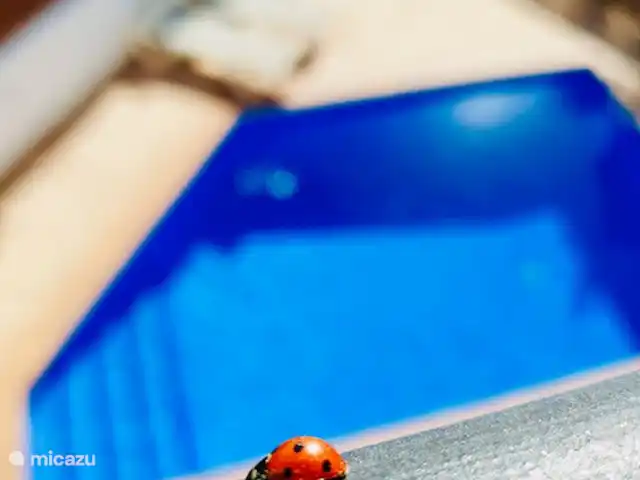 Casa Sa Riera en España, Costa Brava, Begur - villa Todos los huéspedes disfrutan de la Casa...