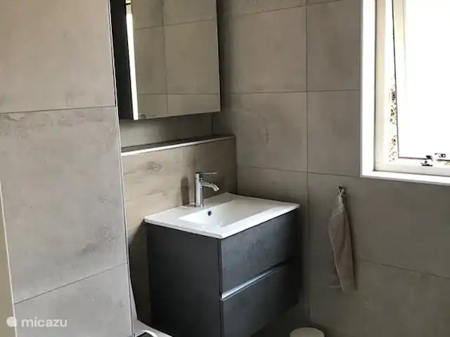 Delfin | Pays-Bas, Zélande, Burgh-Haamstede - maison de vacances Salle de bain avec WC, lavabo et douche à l'italienne