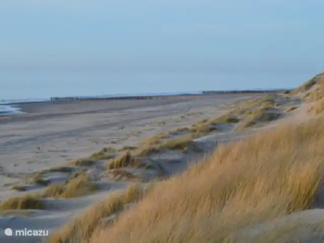 Delfin | Pays-Bas, Zélande, Burgh-Haamstede - maison de vacances Plage
