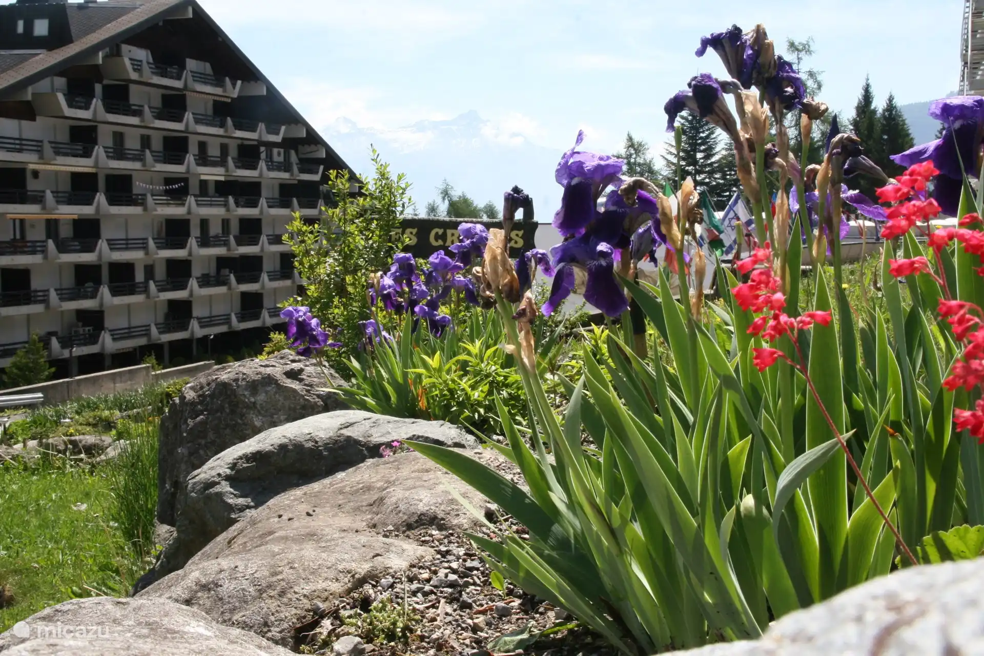Torgon-Portes du Soleil in Schweiz, Wallis, Torgon - Appartement