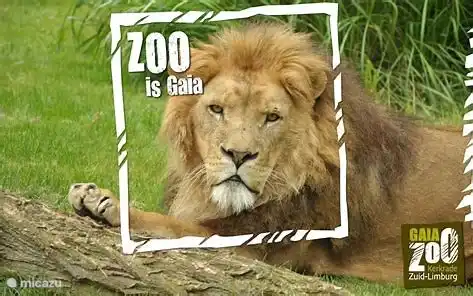 Kerkrade op 20 km afstand