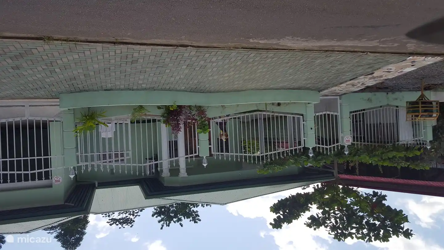 Mi Dren, (My Dream) vista frontal con caja de flores