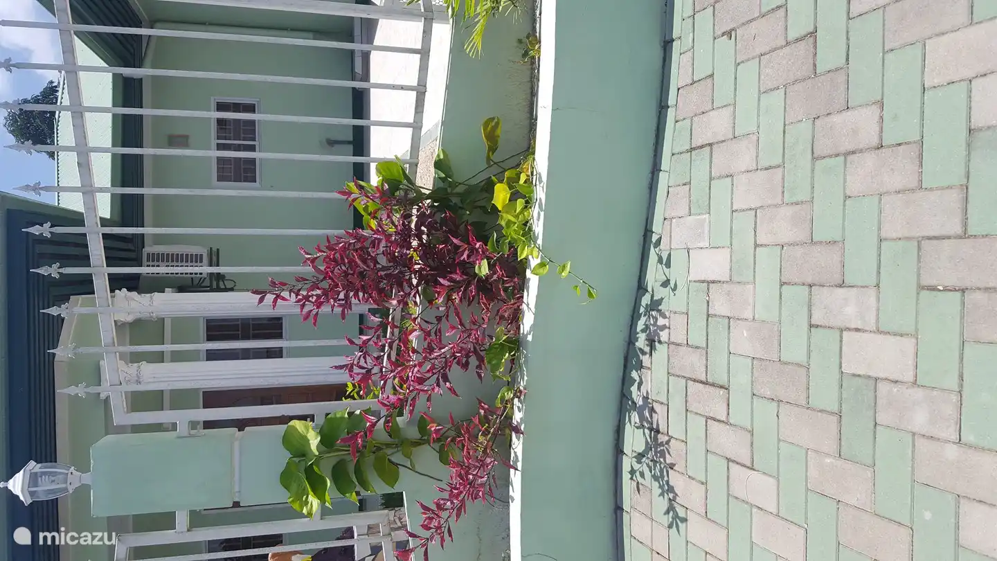 caja de flores, cerrar