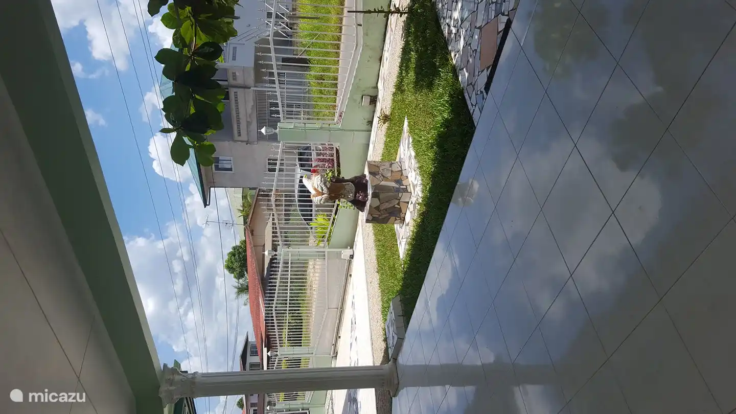 Patio delantero, con césped y águila