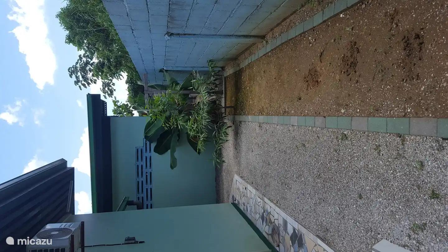 Parte trasera con árboles frutales