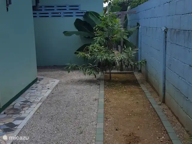 Location de Vacances Suriname, Paramaribo, Paramaribo, bungalow - Mi Dren Arrière avec arbres fruitiers