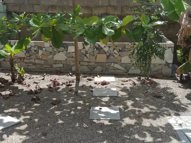 Location de Vacances Suriname, Paramaribo, Paramaribo, bungalow - Mi Dren Dos avec amandier et bac à fleurs