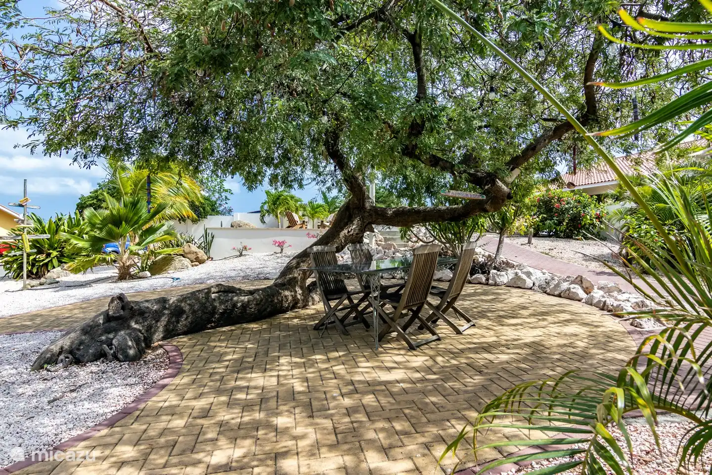 Enjoy the seat under our beautiful tamarind tree