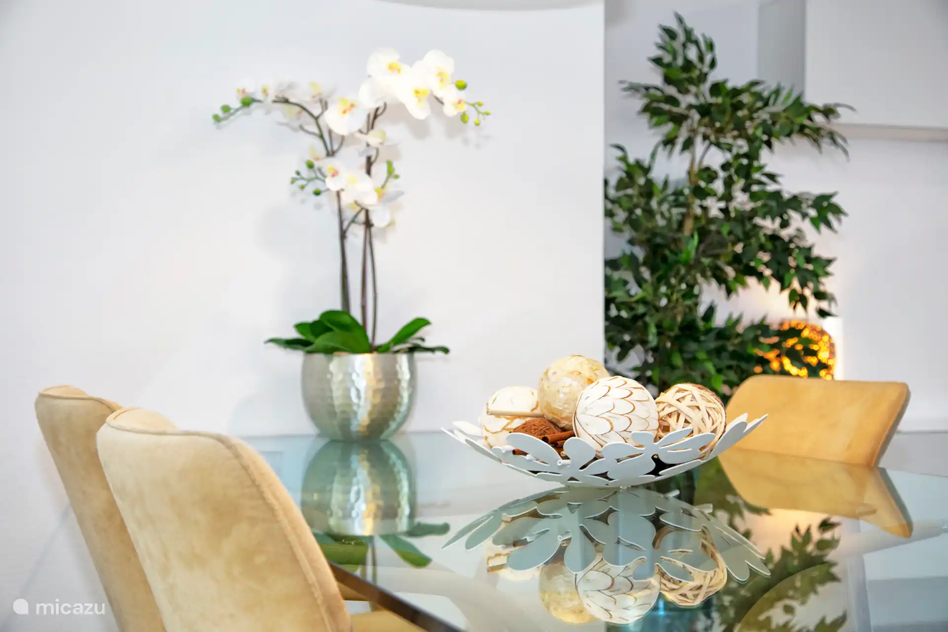 Acogedora zona de comedor en el interior, perfecta para comidas acogedoras y momentos de mesa larga