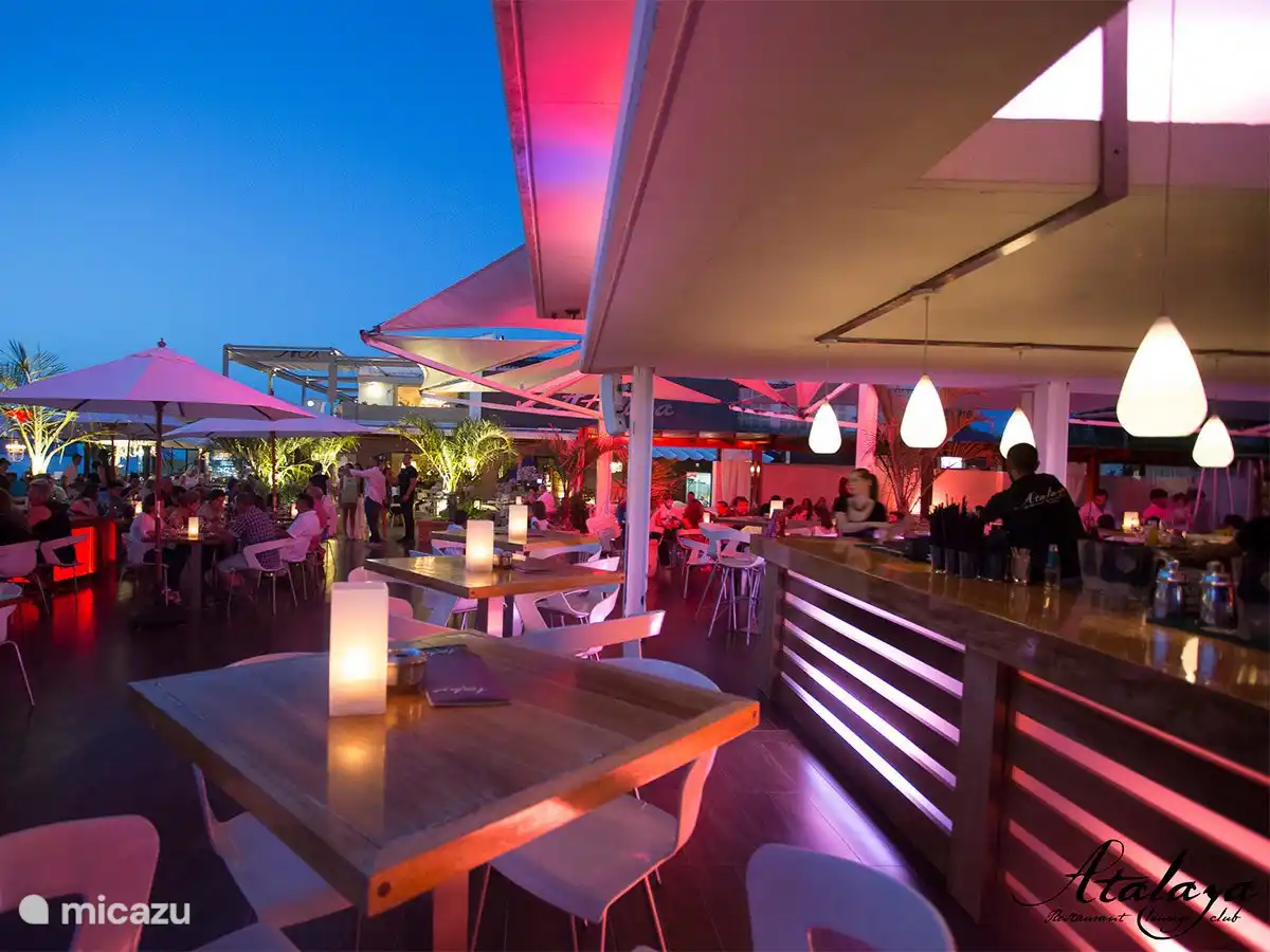 Descubra la vibrante vida nocturna con lujosos bares y sofisticados cócteles: disfrute con estilo hasta la madrugada