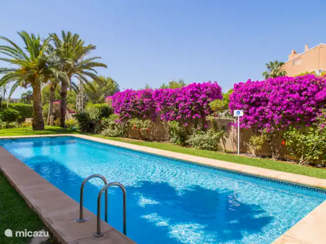 Appartement de plage de luxe La Gavina | Espagne, Costa Blanca, Jávea - appartement Piscine spacieuse et accueillante juste à côté - parfaite pour une baignade rafraîchissante ou un bain de soleil relaxant