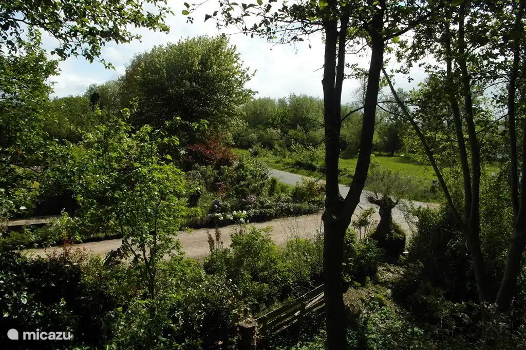 Blick vom hinteren Schlafzimmer im 1. Stock