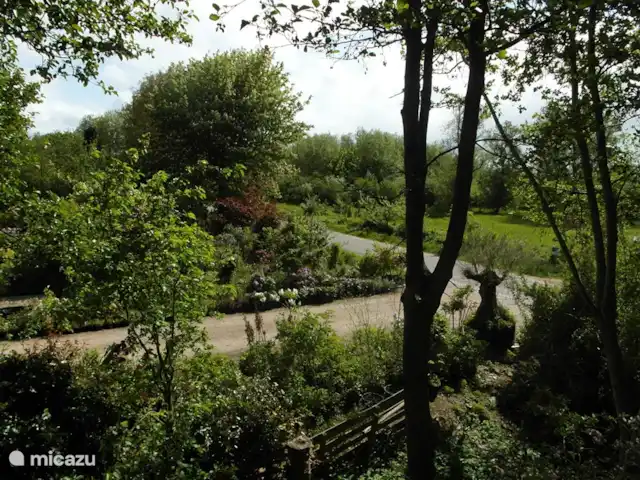 Cotule | Pays-Bas, Zélande, Oostkapelle - maison de vacances Vue de la chambre arrière au 1er étage