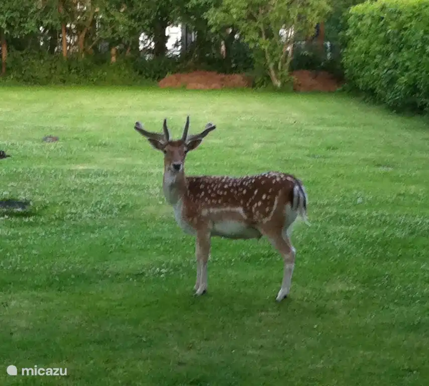 Morgens um 5 Uhr aus dem Küchenfenster.