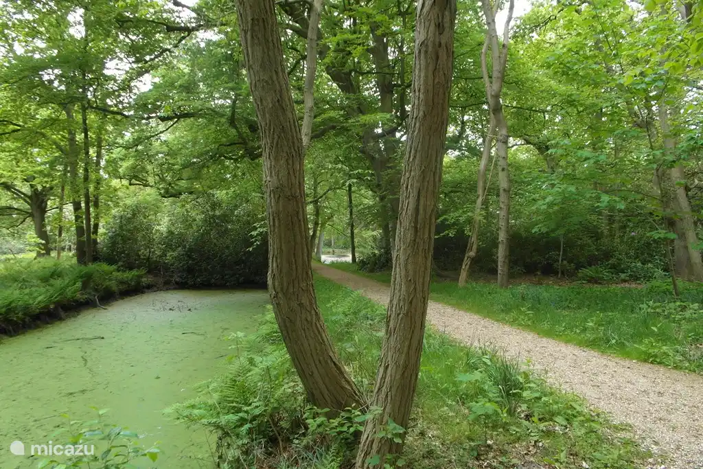 Durch den Wald zu den Dünen und zum Strand.