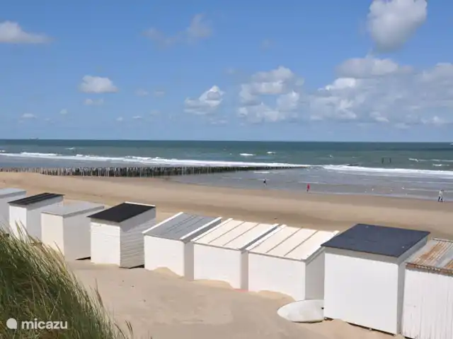 Cotule | Pays-Bas, Zélande, Oostkapelle - maison de vacances Les maisons de plage peuvent être louées via le VVV Oostkapelle.