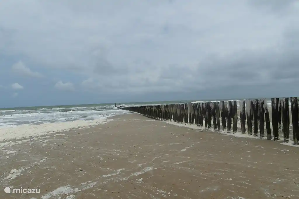 Der Strand für alle Jahreszeiten.