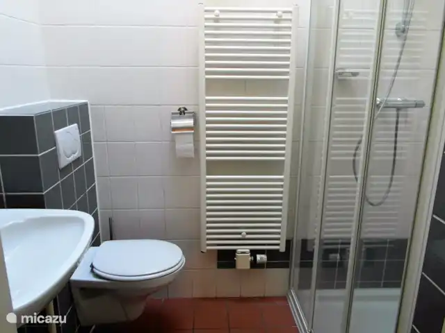 Cotule | Pays-Bas, Zélande, Oostkapelle - maison de vacances Salle de bain complète avec douche spacieuse avec thermostat, lavabo et toilette.