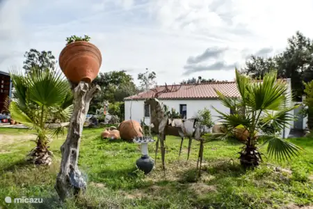 Vakantiehuis Portugal, Alentejo, Montemor-O-Novo vakantiehuis Hannibal Vakantiehuis Portugal, Alentejo, Montemor-O-Novo vakantiehuis Hannibal