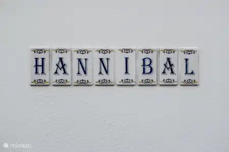 Vakantiehuis Portugal, Alentejo, Montemor-O-Novo vakantiehuis Hannibal Hannibal