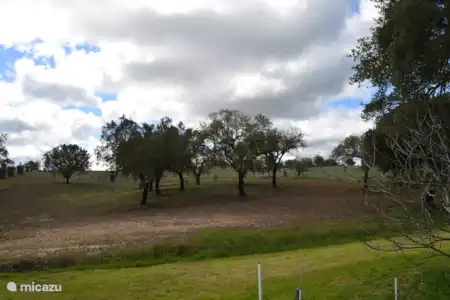 Vakantiehuis Portugal, Alentejo, Montemor-O-Novo vakantiehuis Hannibal De tuin