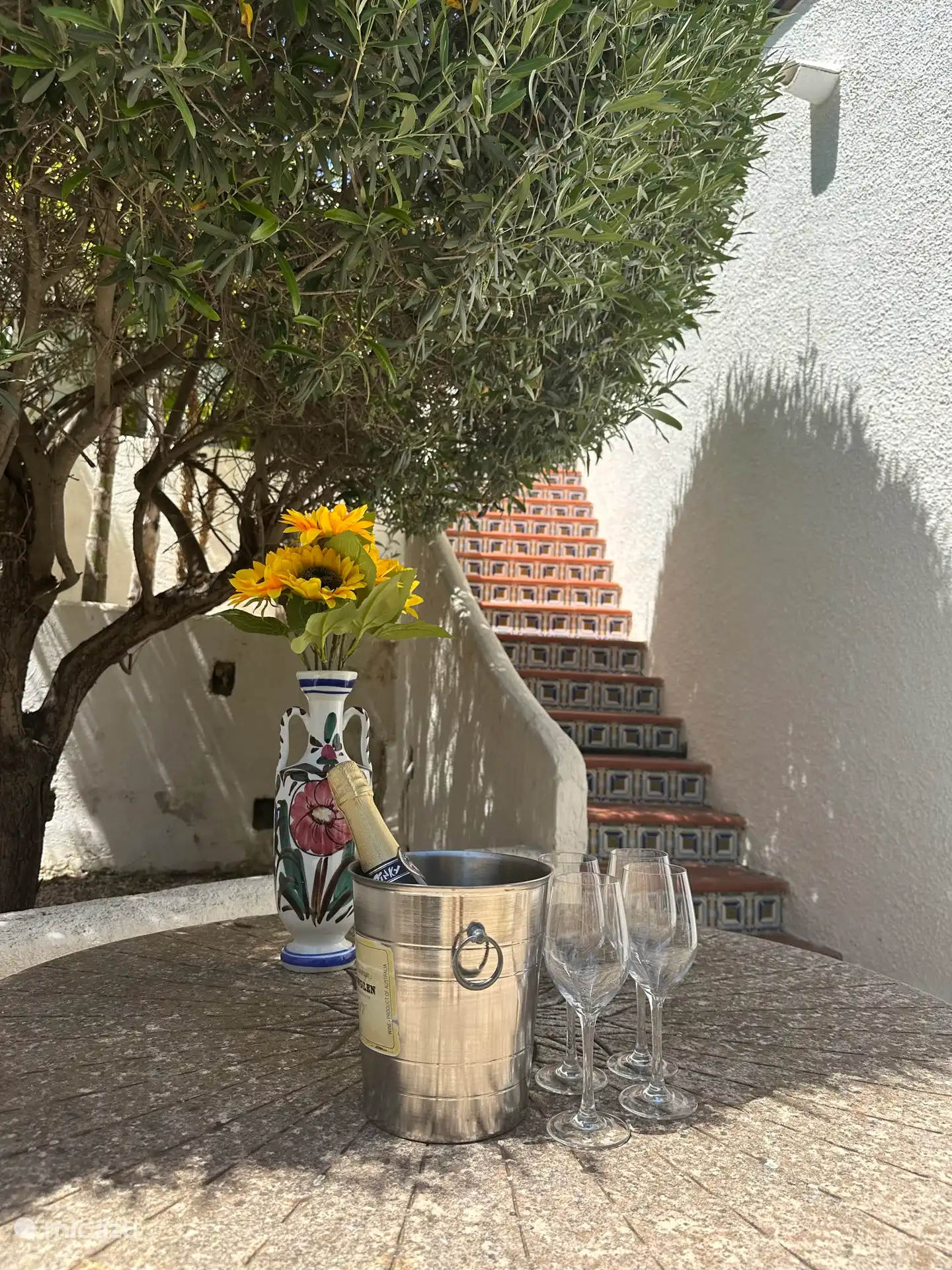 Trinken Sie etwas unter dem Olivenbaum!