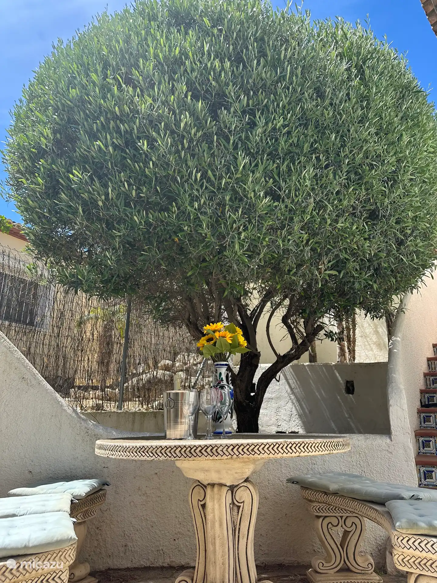 Getränke unter dem Olivenbaum