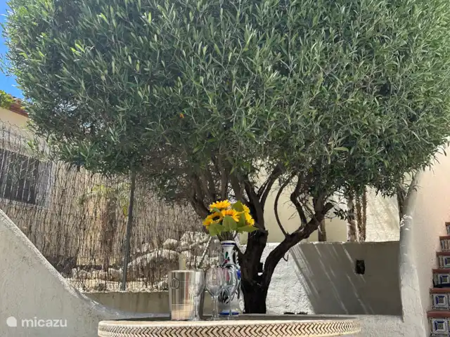 Casa Toucan Moraira | Espagne, Costa Blanca, Moraira - villa Boissons sous l’olivier