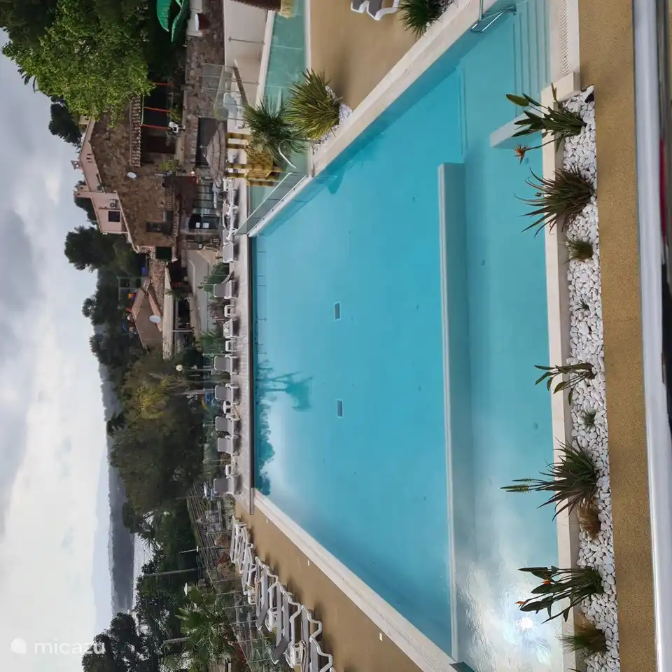 Swimmingpool mit Sonnenliegen