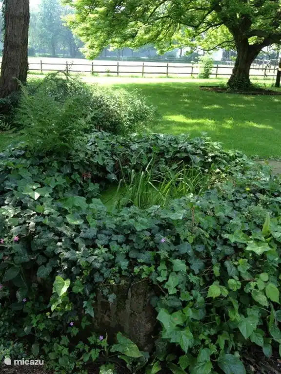 Familienurlaub auf dem Bauernhof 12 p. Hirschfarm Lage Mierde NL