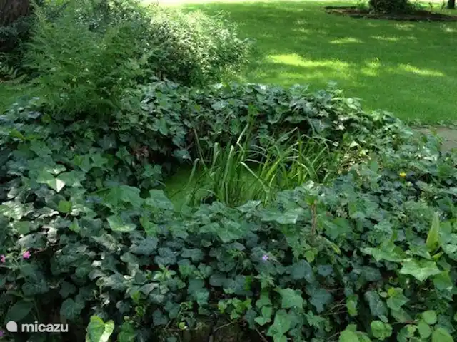 Le Hertenhoeve | Pays-Bas, Brabant-Septentrional, Reusel-De Mierden - ferme Ferme de vacances familiale 12 p. Hertenhoeve Lage Mierde NL