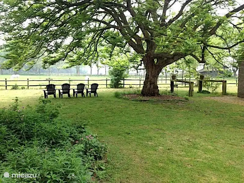 Familienferienhof 12 p. Hertenhoeve Lage Mierde, Blick von Veranda und Wohnzimmer 1.