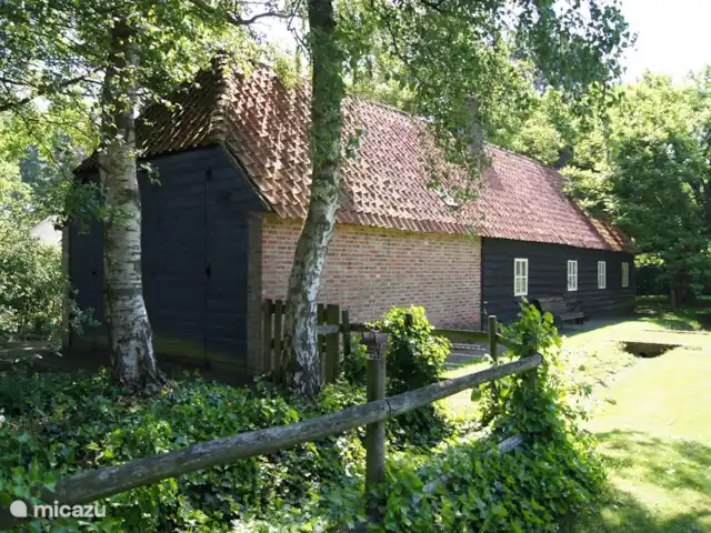 Le Hertenhoeve | Pays-Bas, Brabant-Septentrional, Reusel-De Mierden - ferme Ferme de vacances De Hertenhoeve Lage Mierde NL. Ecurie arrière