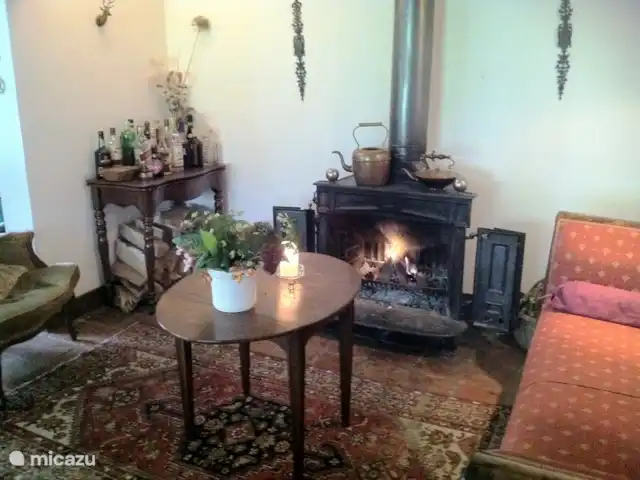 Le Hertenhoeve | Pays-Bas, Brabant-Septentrional, Reusel-De Mierden - ferme Ferme de vacances familiale 12 p. Hertenhoeve Lage Mierde NL
Cheminée salon 1