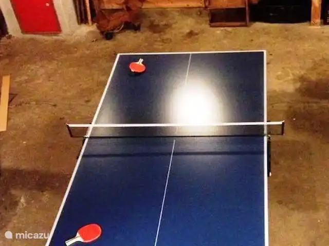 Le Hertenhoeve | Pays-Bas, Brabant-Septentrional, Reusel-De Mierden - ferme Play stable au Hertenhoeve