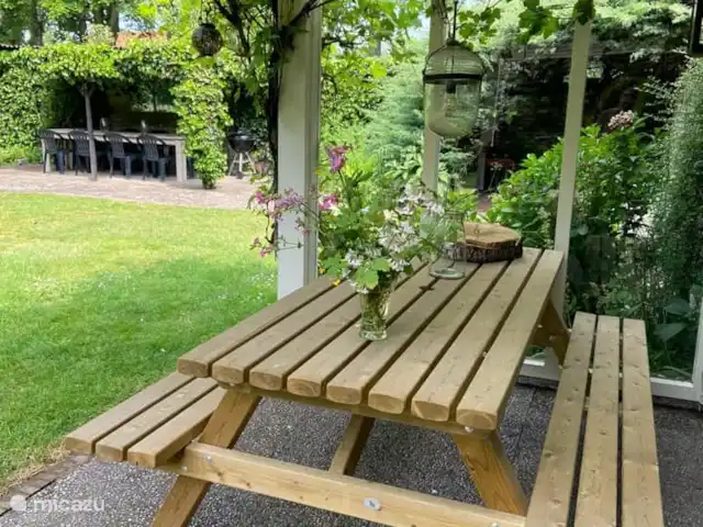 Le Hertenhoeve | Pays-Bas, Brabant-Septentrional, Reusel-De Mierden - ferme Hertenhoeve Lage Mierde NL . Véranda à raisins à côté du salon