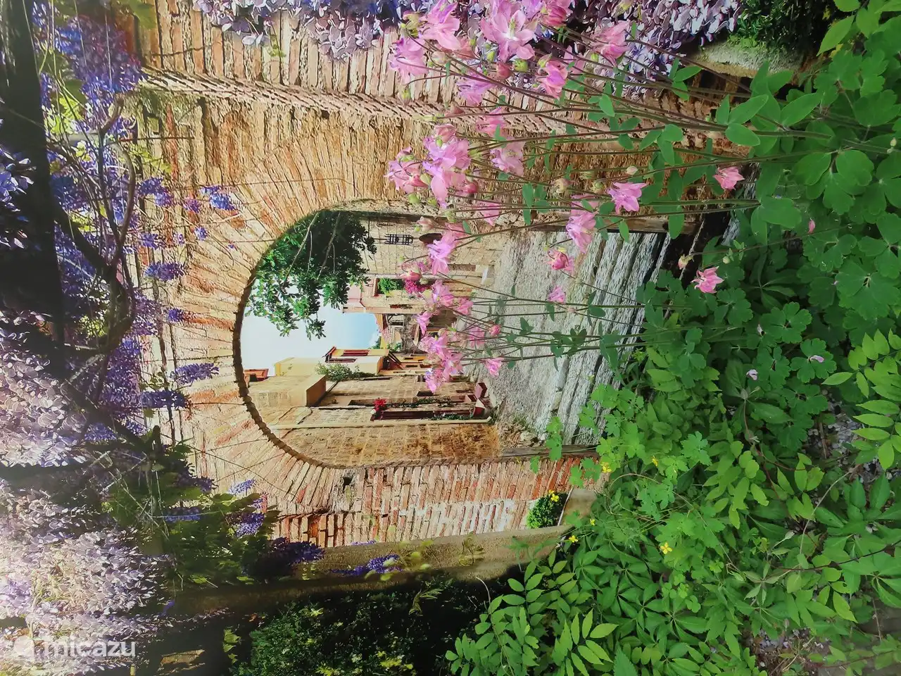 Überall wunderschöne Blumen und Pflanzen