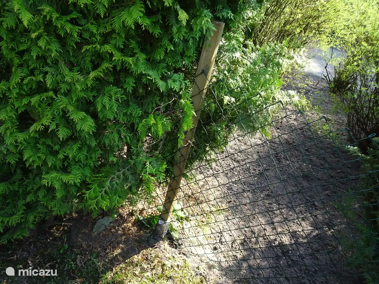 Der gesamte Garten ist entweder mit Zäunen oder Pflanzen umzäunt